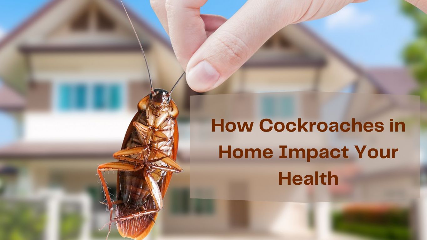 How Cockroaches in Home Impact Your Health
