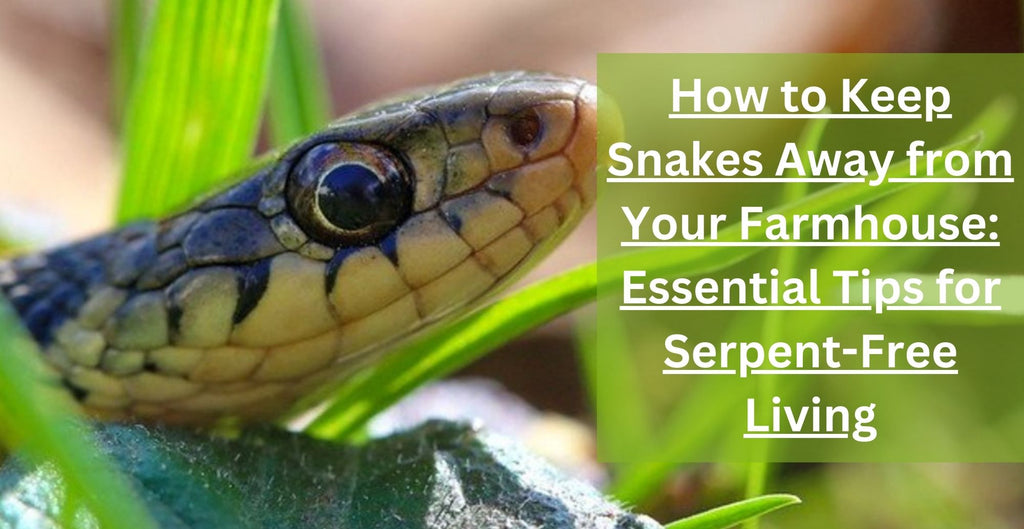 How to Keep Snakes Away from Your Farmhouse Essential Tips for Serpen