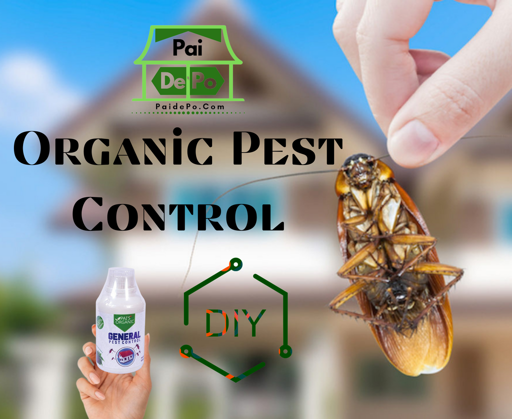 What Are Some Best Organic Pest Control Methods?