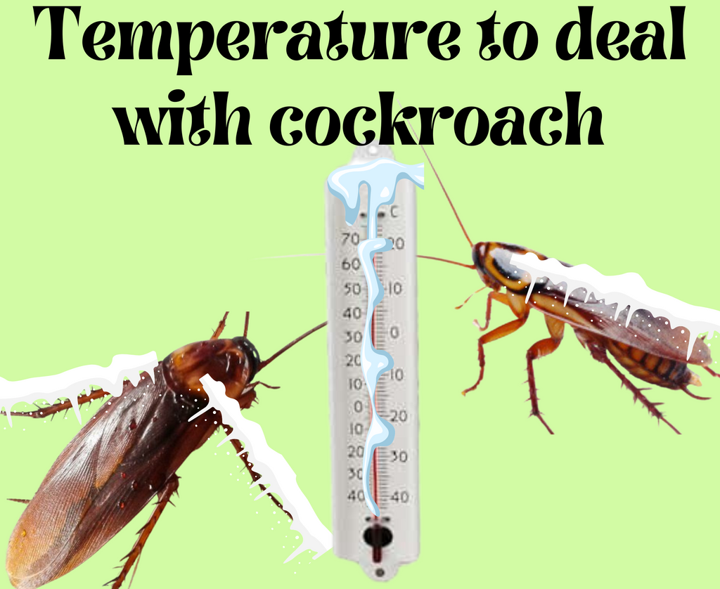Can extreme temperatures kill cockroaches?