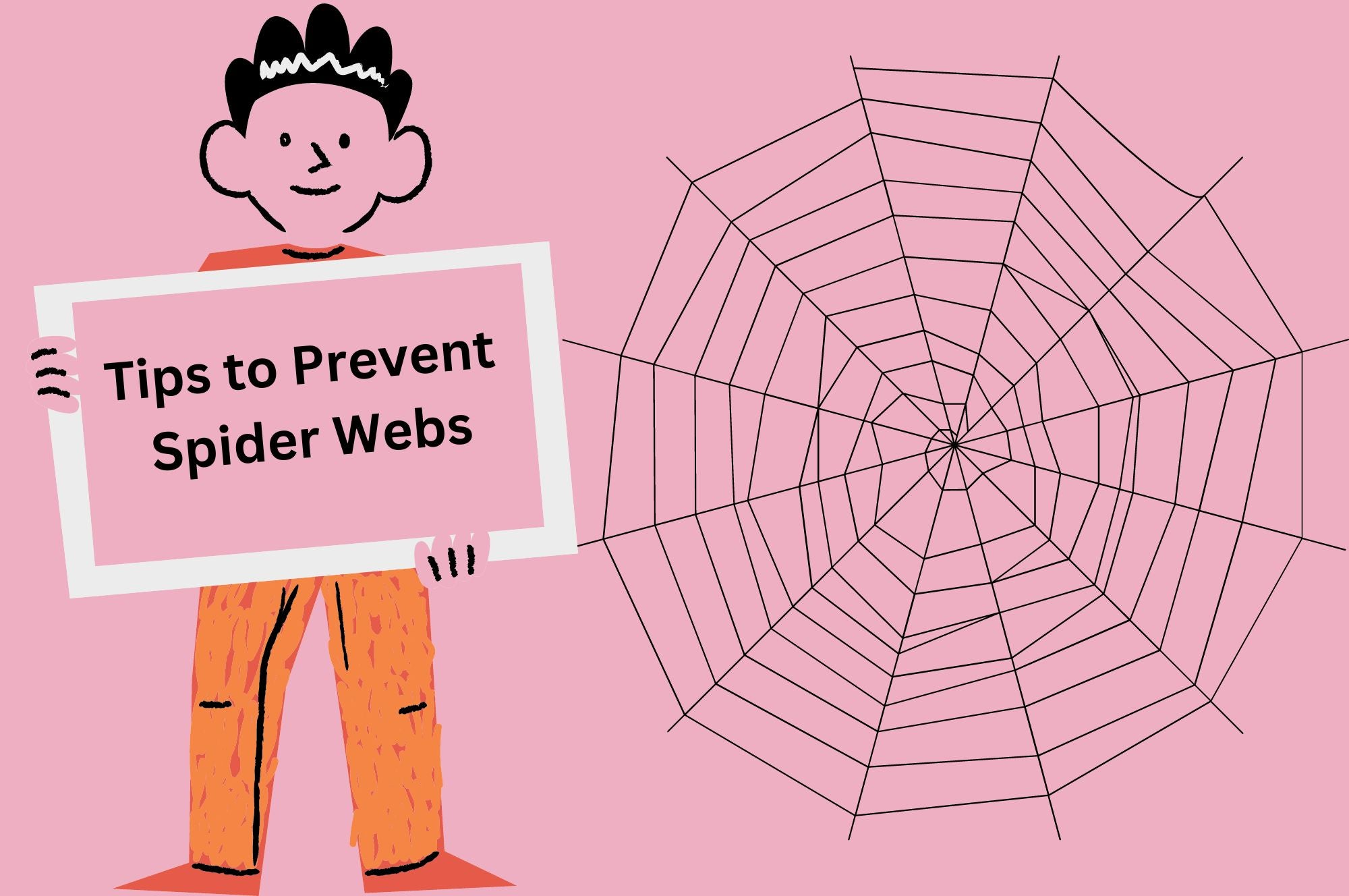 Tips to Prevent Spider Webs in House! Five Helpful Tips