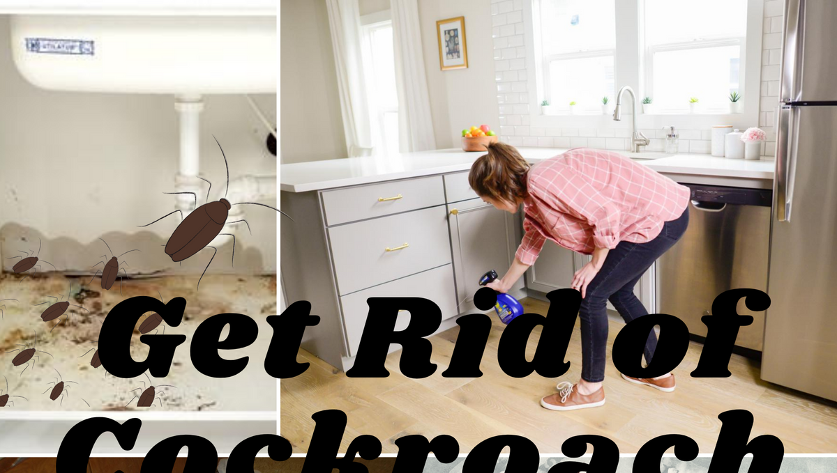 Is cleaning your kitchen enough to get rid of cockroaches?