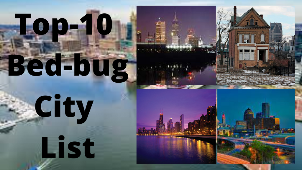 Top10 bed bug infected cities of the world