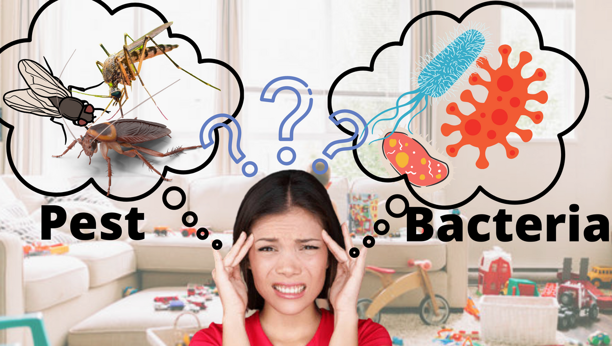 Why house fly, mosquito, and cockroach are different from bacteria?