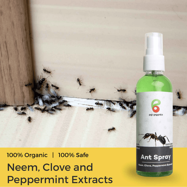 Pai Organics Natural Ant Repellent Spray Pack Of Two 100ml Each