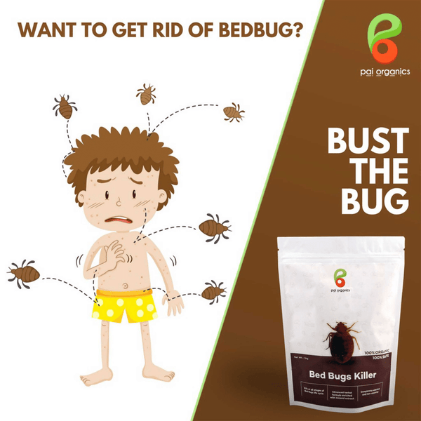 Pai Organics Certified Organic Bed Bug Killer Pack of One 250gm