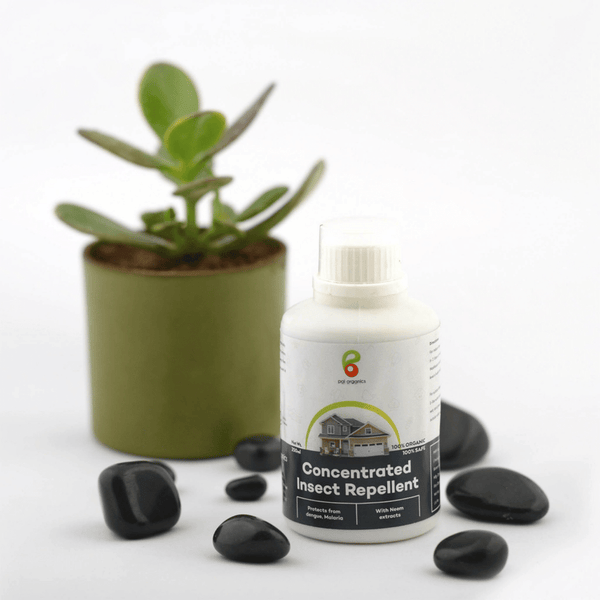 Pai Organics Concentrated Insect Repellent Natural Pest Control 250ml