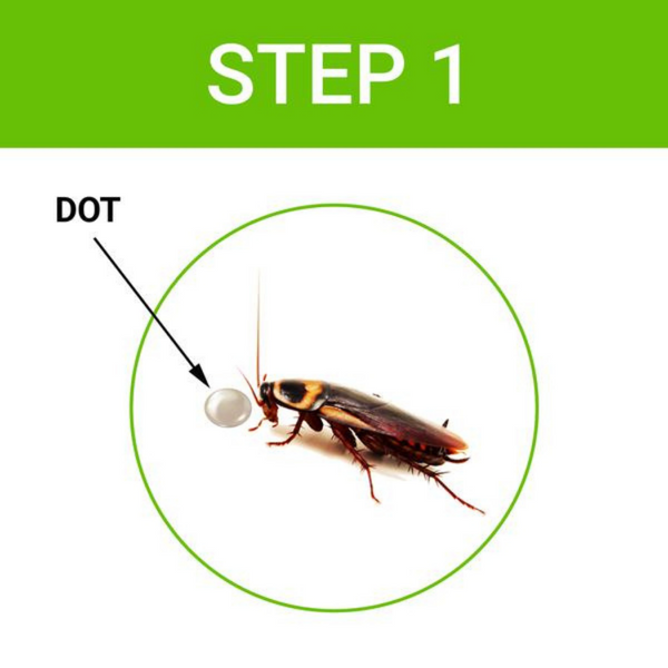 Cockroach Dot™ Anti Cockroach Gel With Neem Extract Injection Pack 40gm