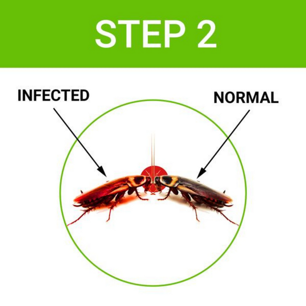 Cockroach Dot™ Anti Cockroach Gel With Neem Extract Injection Pack 40gm