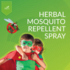 Pai's Anti Mosquito Certified Mosquito Repellent Pack Of Three 600ml