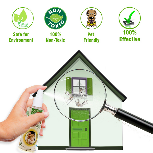 Pai's Anti Mosquito Certified Mosquito Repellent Pack Of Three 600ml