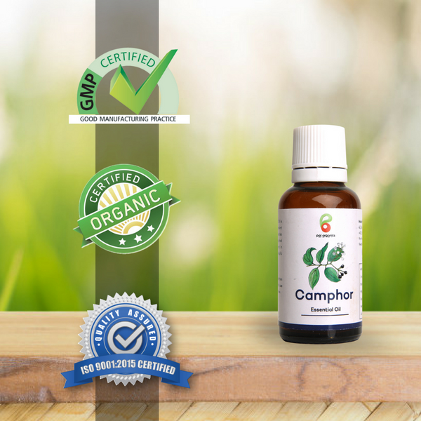 Camphor Essential Oil (15 gm)