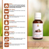 Cedarwood Essential Oil (30gm)