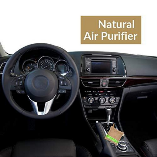 Pai Organics Activated Charcoal Natural Air Purifier Pack of One 200gm