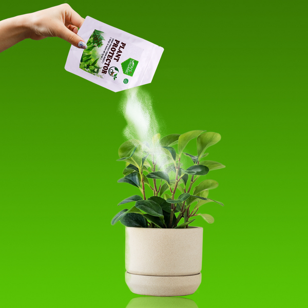 Pai Organics Plant Pesticide Natural Garden Insect Killer 250gm