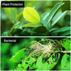 Pai Organics Plant Pesticide Natural Garden Insect Killer 250gm