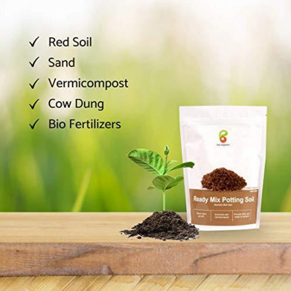 Pai Organics Ready Mix Potting Soil Enriched With Nutrients 2kg