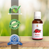 Rose Essential Oil