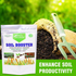 products/soilbooster3.png
