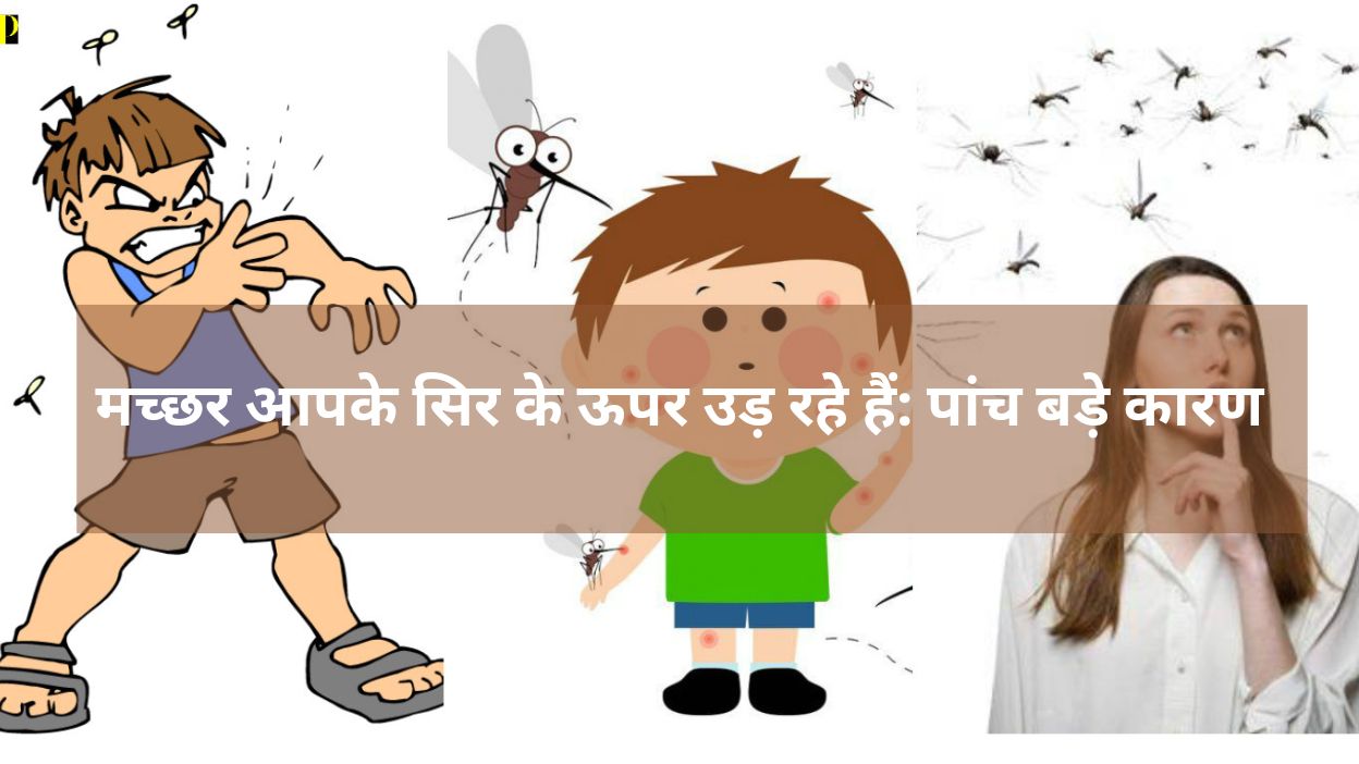 मच्छर आपके सिर के ऊपर उड़ रहे हैं: पांच बड़े कारण