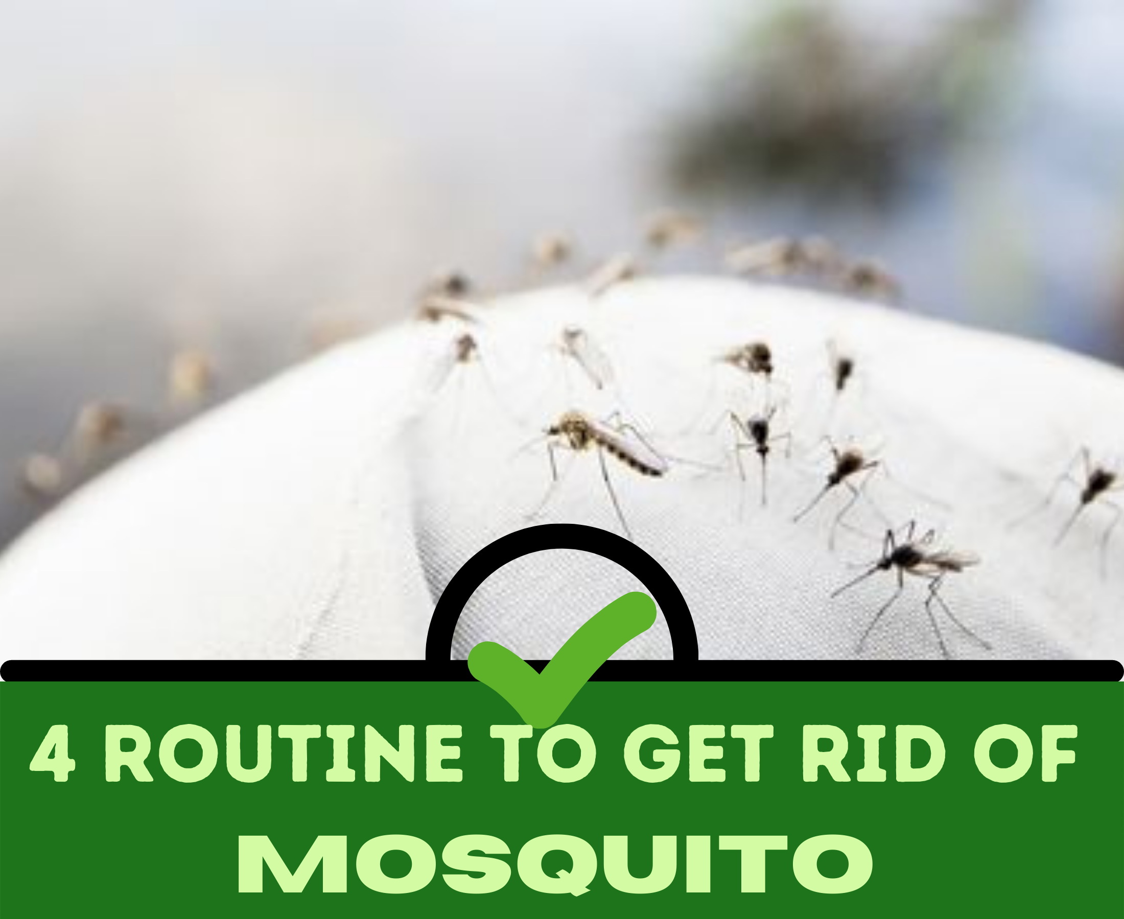 Write any four precautions/methods to prevent mosquitoes