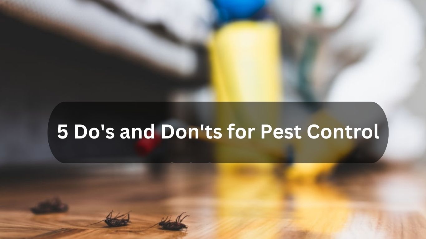 5 Do's and Don'ts for Pest Control