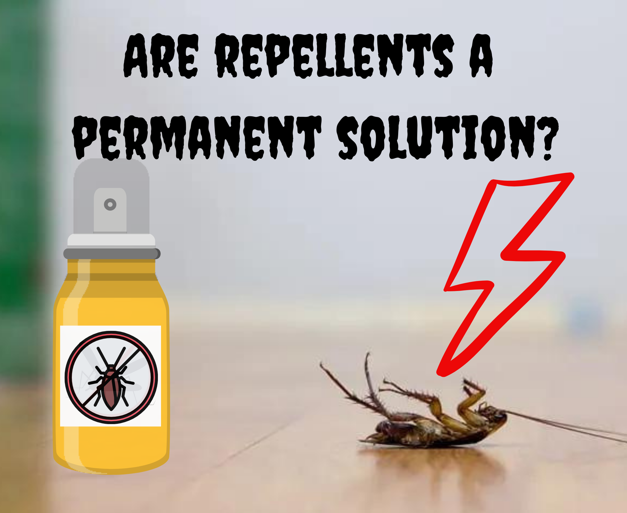Can repellent opt as a sole method for insects?
