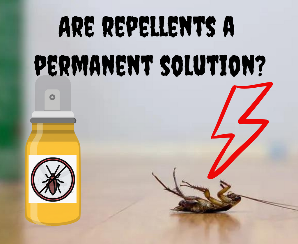 can-repellent-opt-as-a-sole-method-for-insects