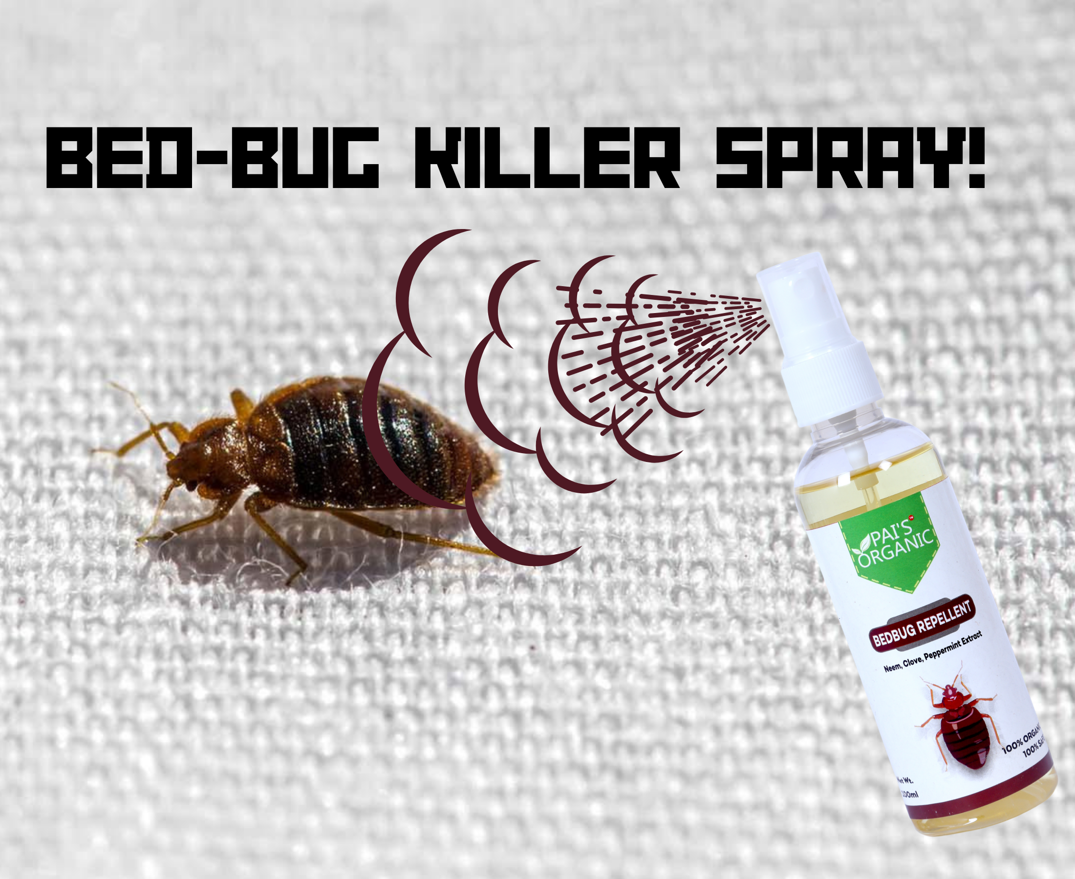 What are the best sprays to control bed bugs?