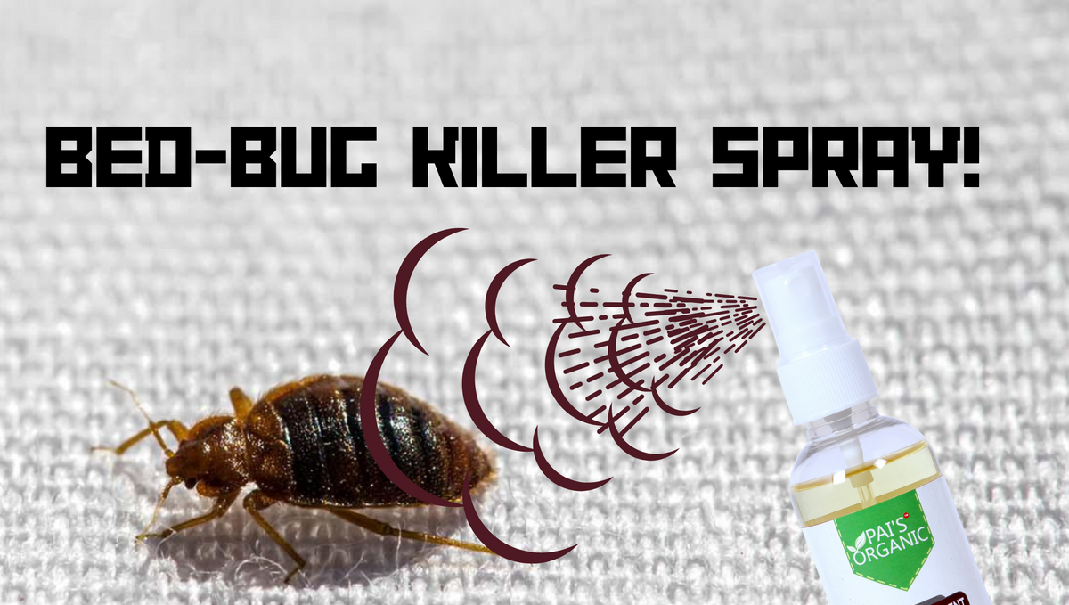 What are the best sprays to control bed bugs?