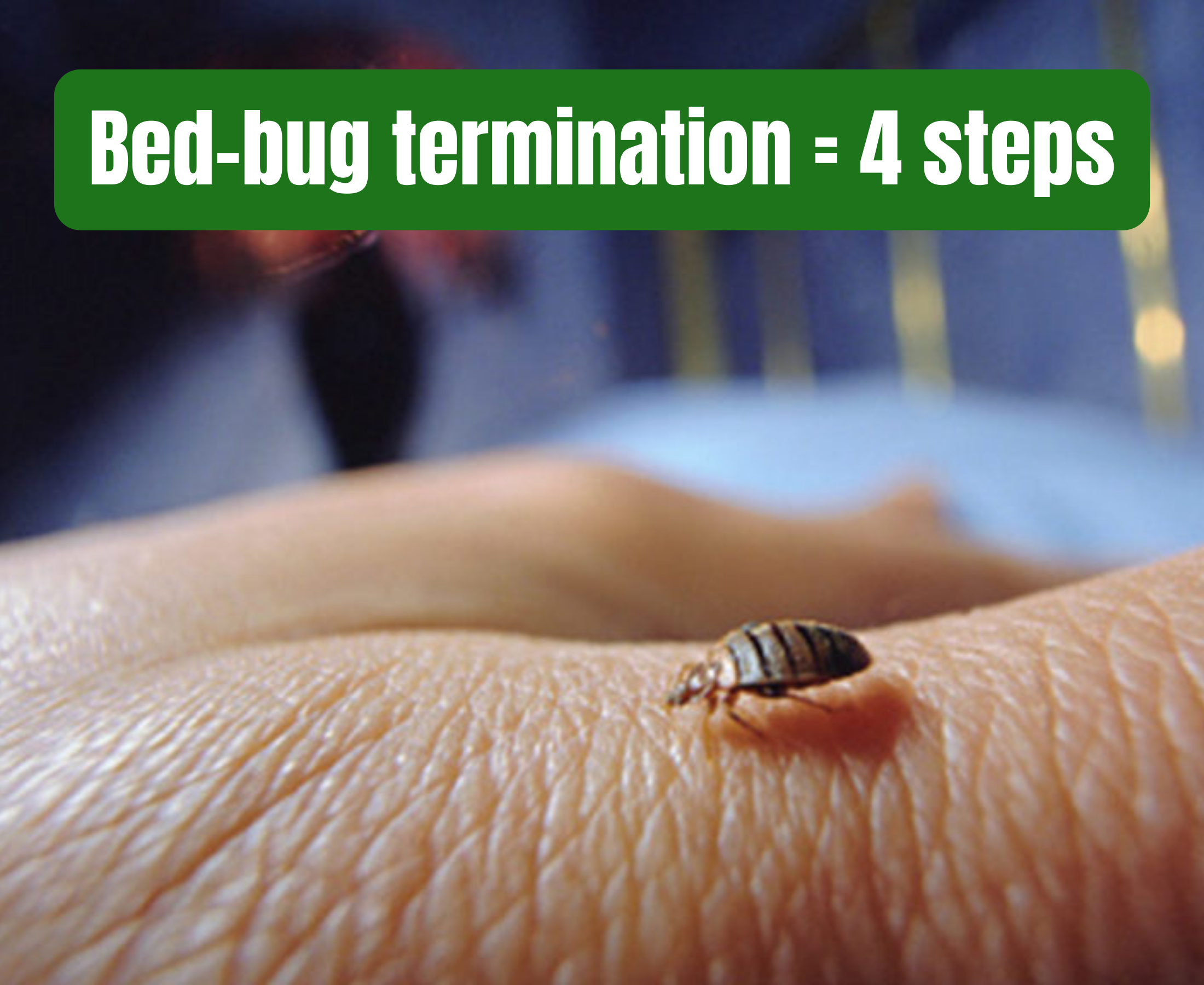 Bed Bug Exterminator In Columbus Ohio
