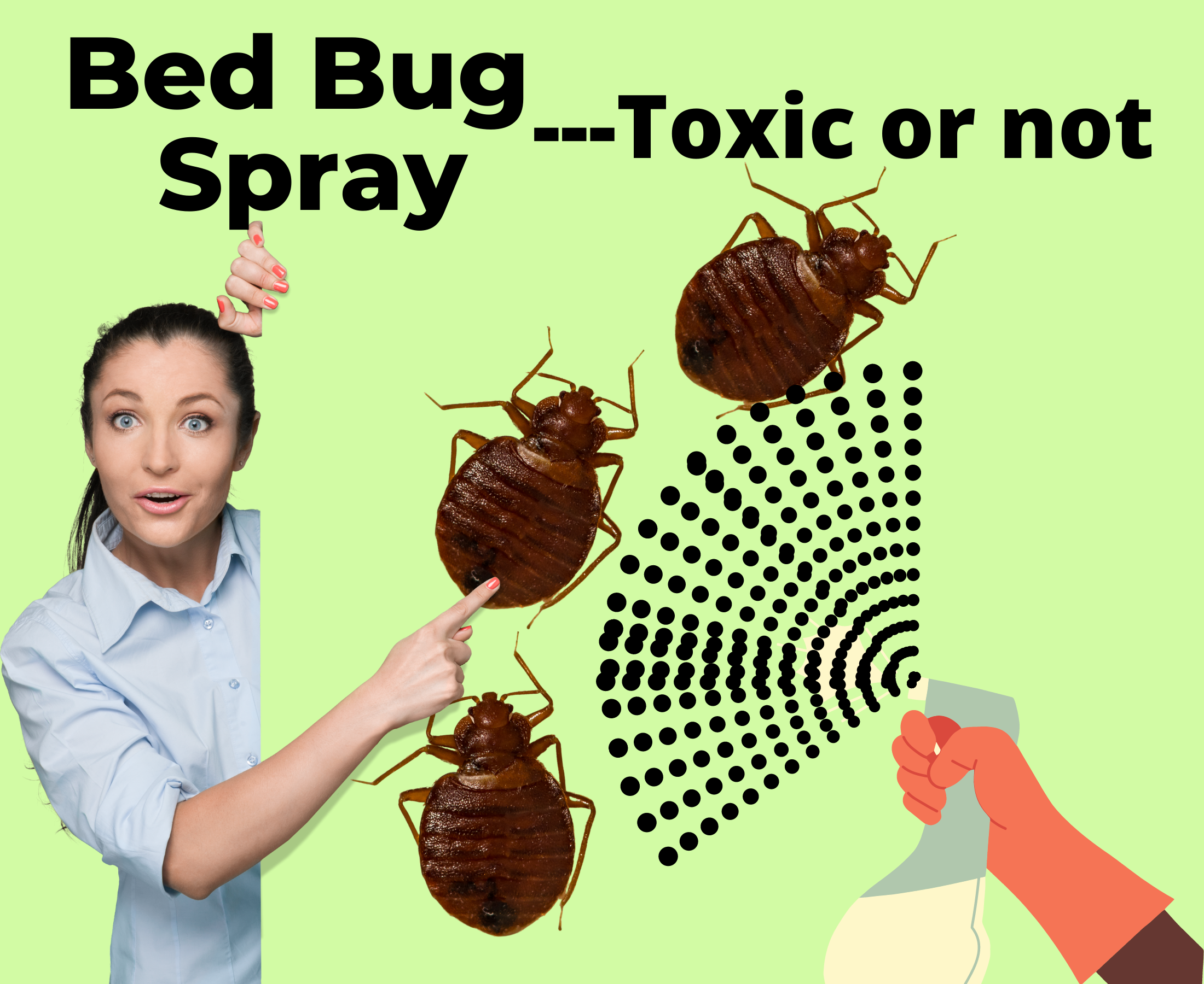 How many days do items need to be isolated, sprayed by bed bug killer?