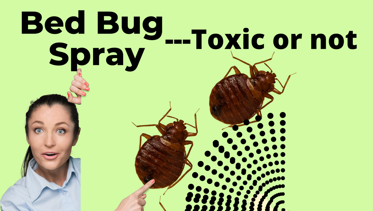 How many days do items need to be isolated, sprayed by bed bug killer?