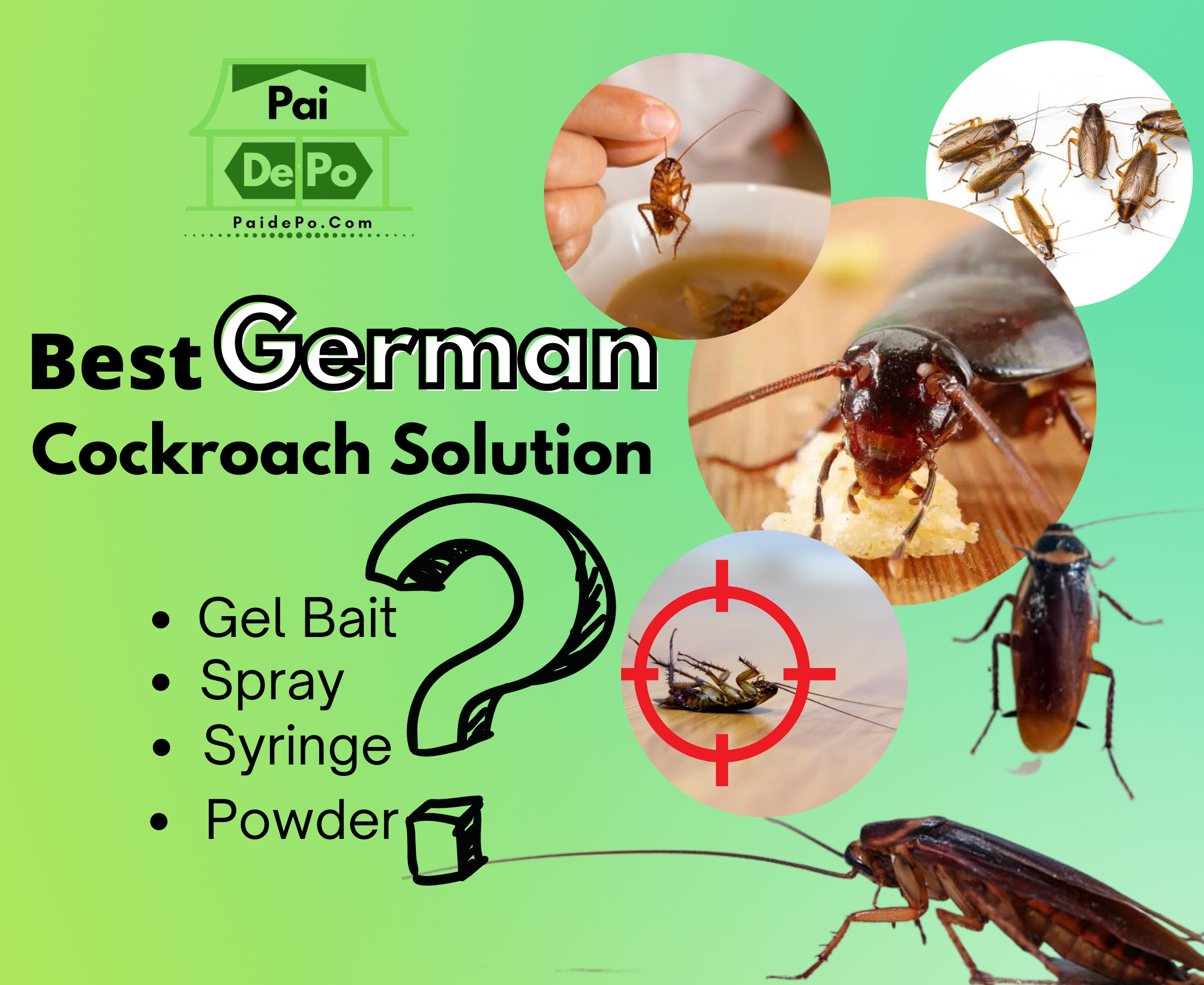 Best German cockroach Killer Gel in India