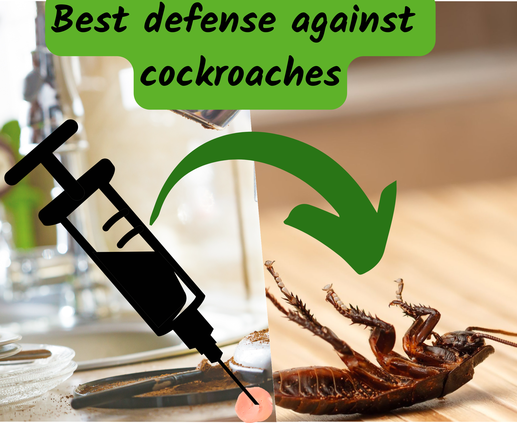 What is the best home defense for roaches?