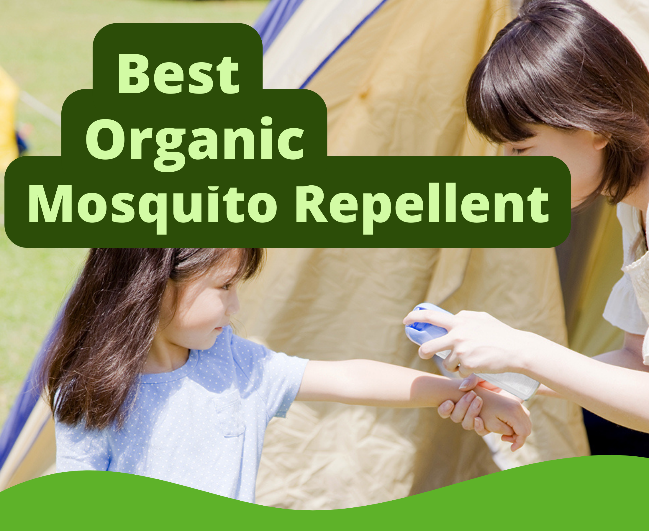 Best Organic Mosquito Repellent in India