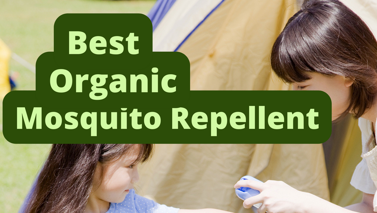 Best Organic Mosquito Repellent in India