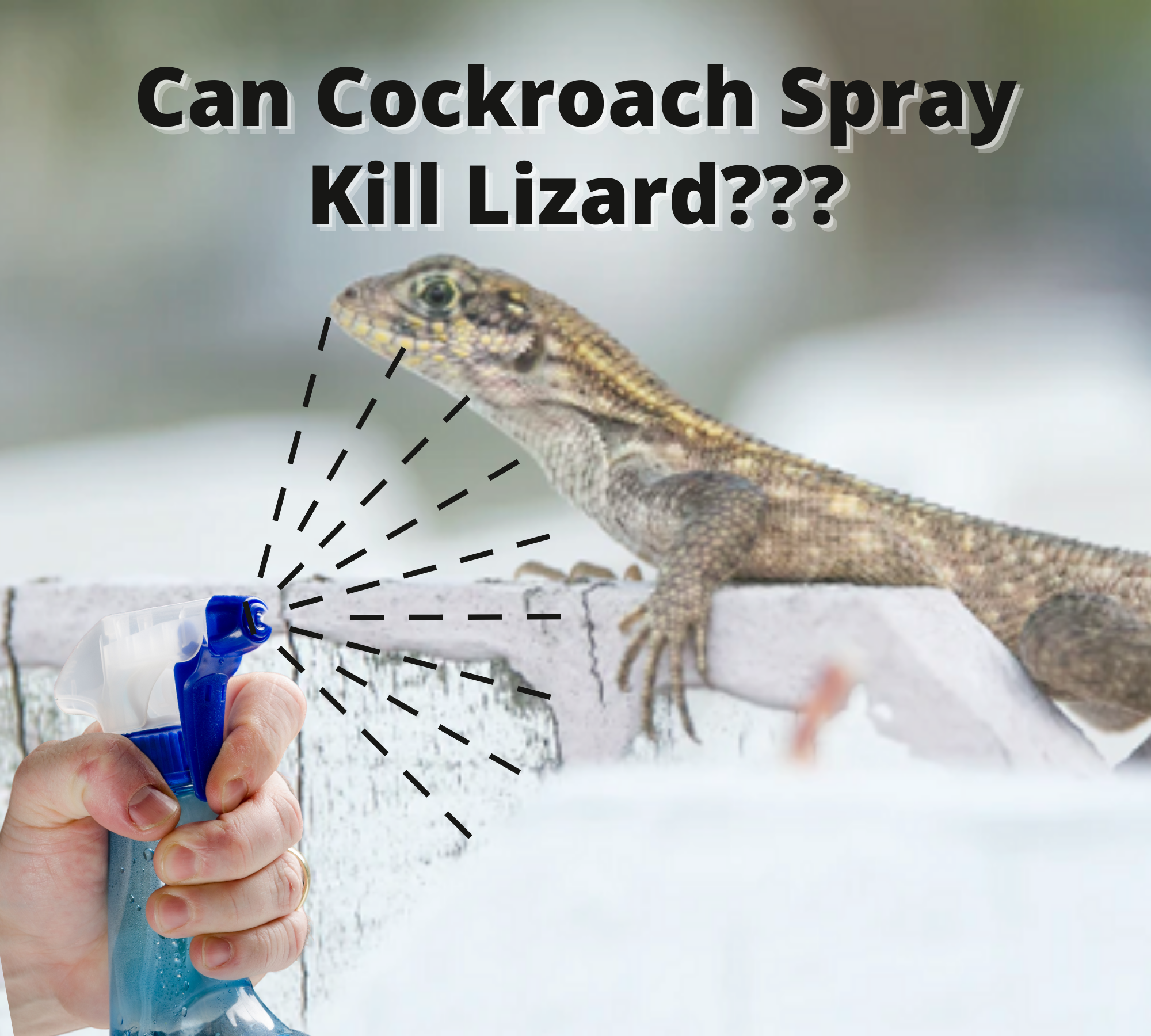 Are cockroaches killer enough to kill lizards?