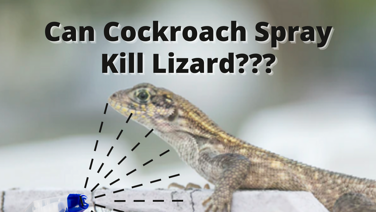 Are cockroaches killer enough to kill lizards?