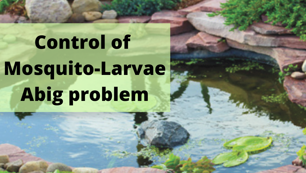 How to control mosquito larvae from pond without effect on plant and fish growth?