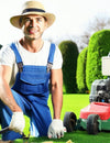 DIY vs. Professional Lawn Care Services: Which Is Right for You?