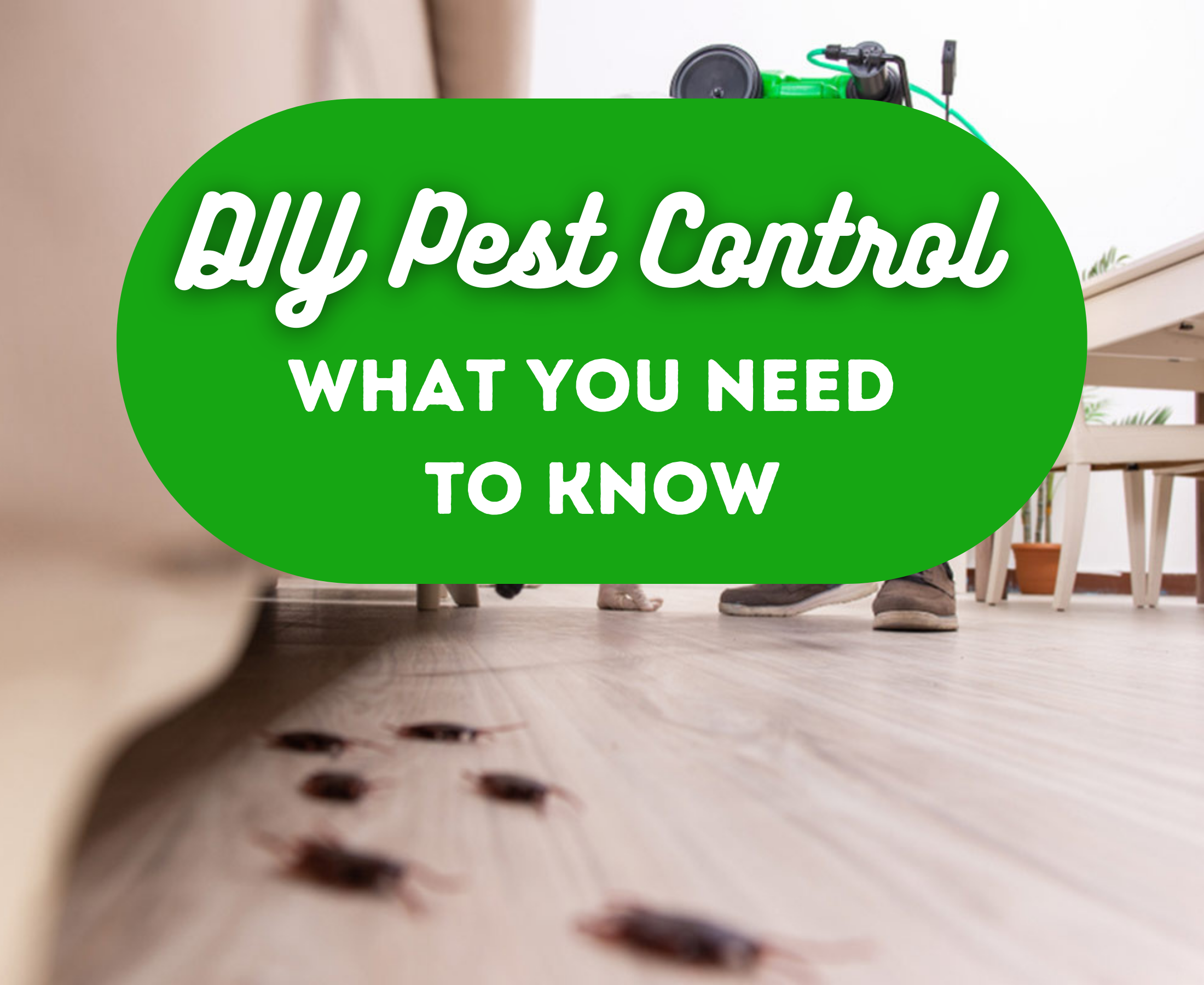 Is DIY pest control effective? FAQs