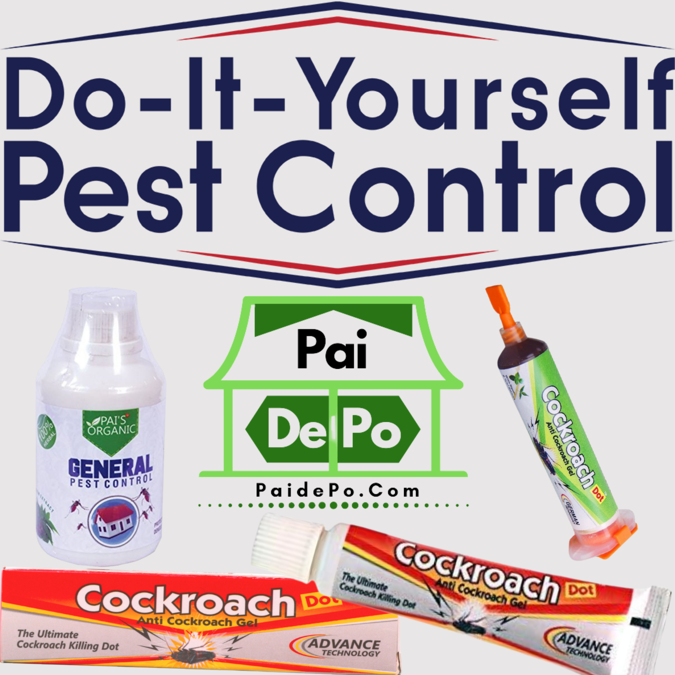 DIY Pest Control for Residential
