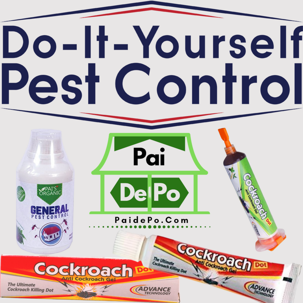 DIY Pest Control For Residential   DIY Pest Control For Residential 1024x1024 