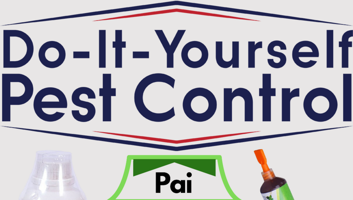 DIY Pest Control for Residential