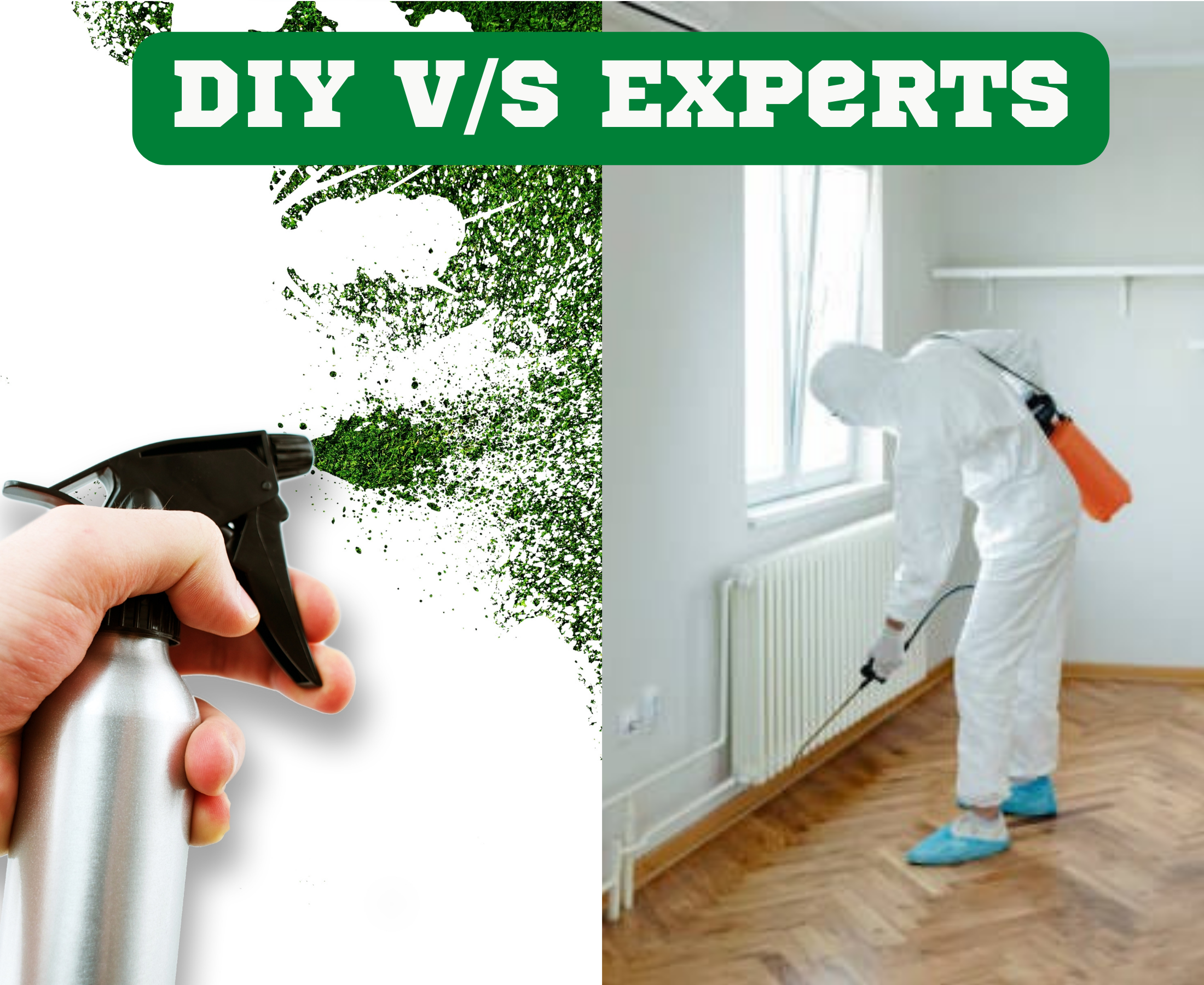 Do it yourself pest control v/s pest control by experts