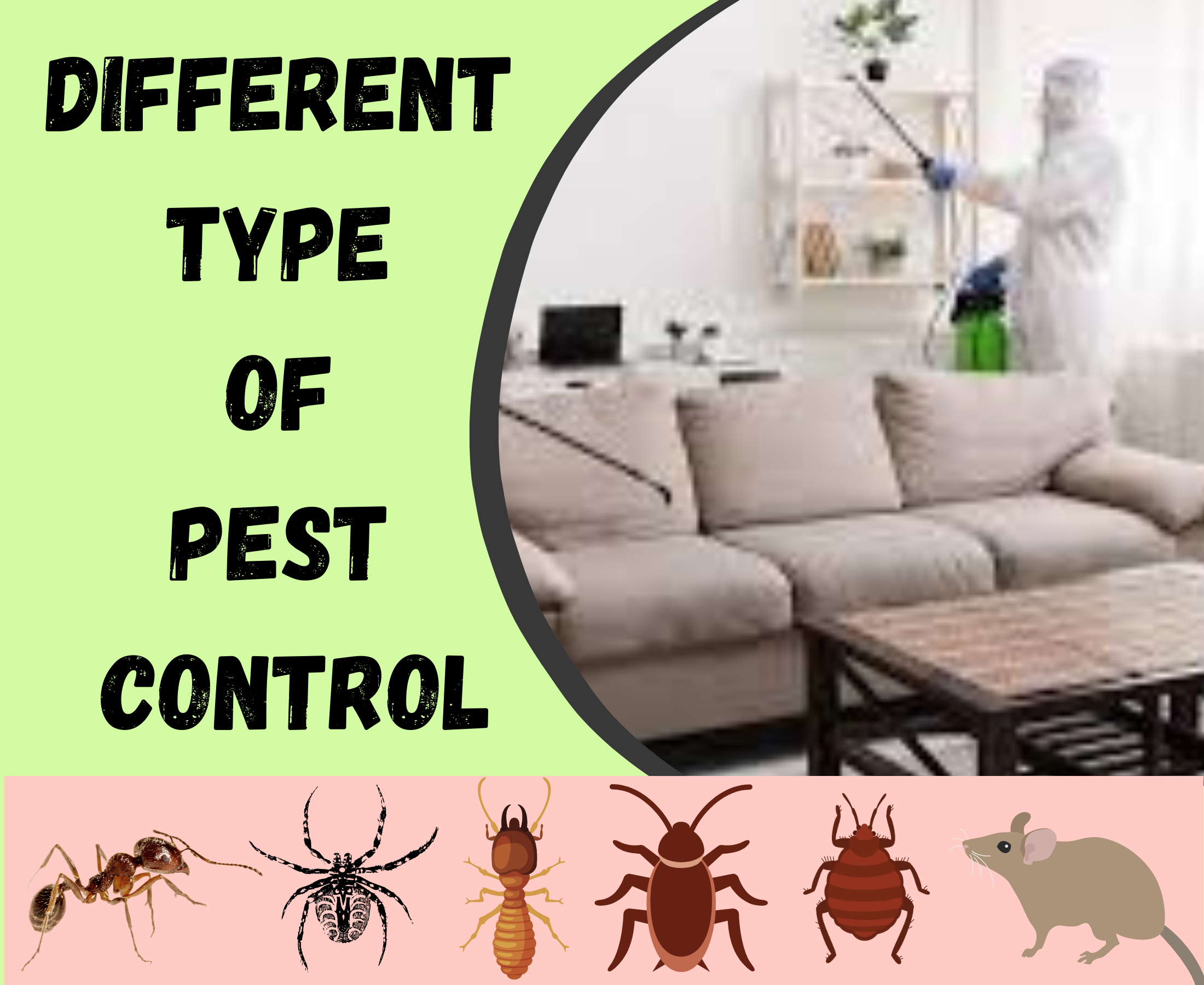 What type of pest control is best?