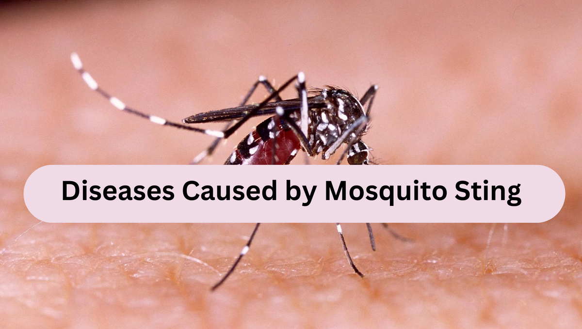 Diseases Caused by Mosquito Sting