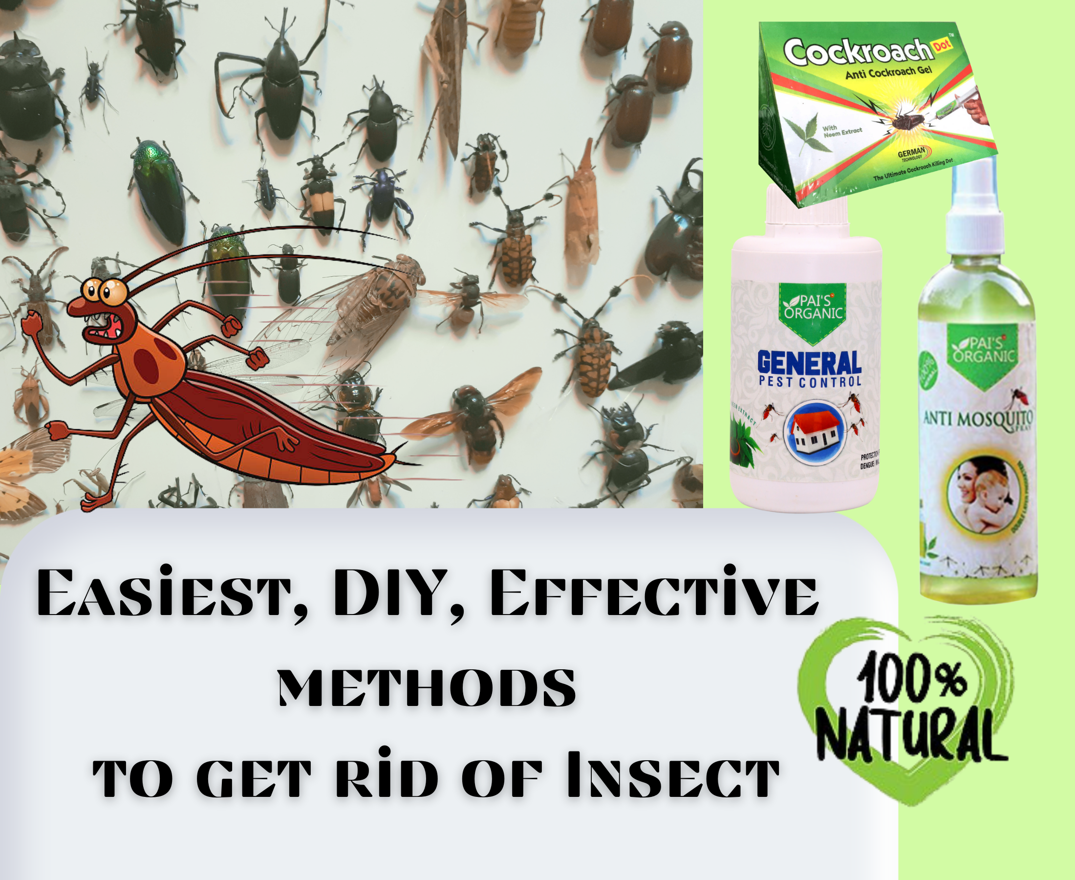 What is the best spray to control insects?