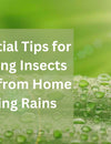 Essential Tips for Keeping Insects Away from Home During Rains